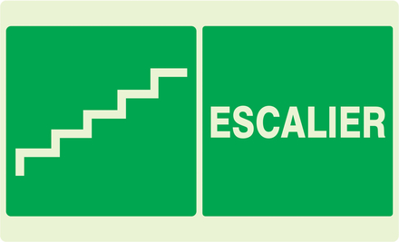 PANNEAU ESCALIER LUMINESCENT 330X200MM TALIAPLAST - 631422