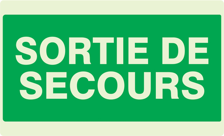 PANNEAU SORTIE DE SECOURS LUMINESCENT 330X200MM TALIAPLAST - 631432