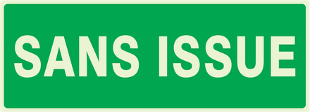 PANNEAU SANS ISSUE (SECOURS) LUMINESCENT 330X120MM TALIAPLAST - 636416
