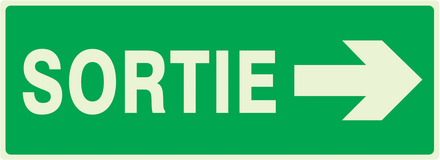 PANNEAU SORTIE FLECHE A DROITE LUMINESCENT 330X120MM TALIAPLAST - 636417