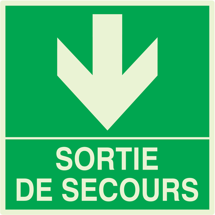 PANNEAU SORTIE DE SECOURS EN BAS LUMINESCENT 200X200MM TALIAPLAST - 638412