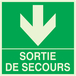 PANNEAU SORTIE DE SECOURS EN BAS LUMINESCENT 200X200MM TALIAPLAST - 638412