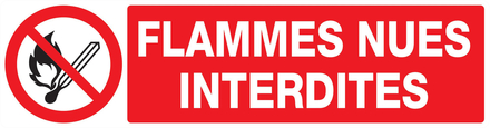 PANNEAU FLAMMES NUES INTERDITES 200X52MM TALIAPLAST - 720226