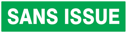 PANNEAU SANS ISSUE (SECOURS) 200X52MM TALIAPLAST - 720416