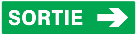 PANNEAU SORTIE FLECHE A DROITE 200X52MM TALIAPLAST - 720417