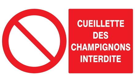 PANNEAU CUEILLETTE DES CHAMPIGNONS INTERDITE 330X200MM TALIAPLAST - 721221