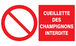 PANNEAU CUEILLETTE DES CHAMPIGNONS INTERDITE 330X200MM TALIAPLAST - 721221