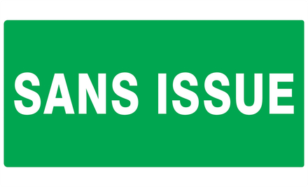 PANNEAU SANS ISSUE (SECOURS) 330X200MM TALIAPLAST - 721417