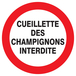 PANNEAU CUEILLETTE DES CHAMPIGNONS INTERDITE Ø300MM TALIAPLAST - 722237