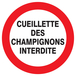 PANNEAU CUEILLETTE DES CHAMPIGNONS INTERDITE Ø420MM TALIAPLAST - 723238