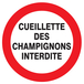 Panneau adhésif CUEILLETTE DES CHAMPIGNONS INTERDITE Ø80MM TALIAPLAST - 724241