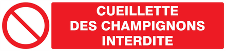 PANNEAU CUEILLETTE DES CHAMPIGNONS INTERDITE 330X75MM TALIAPLAST - 725221