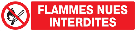 PANNEAU FLAMMES NUES INTERDITES 330X75MM TALIAPLAST - 725226