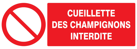 Panneau adhésif CUEILLETTE DES CHAMPIGNONS INTERDITE 330X120MM TALIAPLAST - 726221