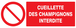 Panneau adhésif CUEILLETTE DES CHAMPIGNONS INTERDITE 330X120MM TALIAPLAST - 726221