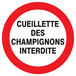 PANNEAU CUEILLETTE DES CHAMPIGNONS INTERDITE Ø180MM TALIAPLAST - 727242