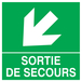 PANNEAU SORTIE DE SECOURS FLECHE EN BAS A GAUCHE 200X200MM TALIAPLAST - 728413
