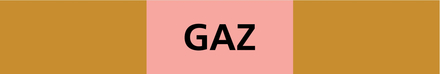PANNEAU GAZ 312X52MM (10 ADHESIFS POUR TUYAUTERIE) TALIAPLAST - 730521