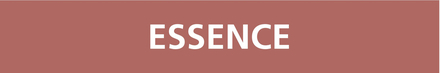 Signalétique de marquage LIQUIDE 312X52 Essence 312x52mm (10 adhesifs pour tuyauterie) TALIAPLAST - 730610
