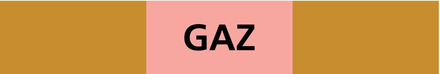 PANNEAU GAZ 222X37MM (20 ADHESIFS POUR TUYAUTERIE) TALIAPLAST - 731521