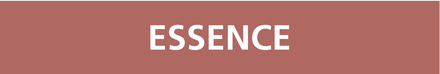 Signalétique de marquage LIQUIDE 222X37 Essence 222x37mm (20 adhesifs pour tuyauterie) TALIAPLAST - 731610