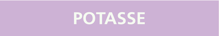 Signalétique de marquage ACIDES 222X37 Potasse 222x37mm (20 adhesifs pour tuyauterie) TALIAPLAST - 731741