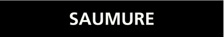 Saumure 222x37mm (20 adhesifs pour tuyauterie) TALIAPLAST - 731819