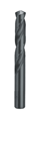 FORET E-C TAILLE 3 SCHILL - 005013