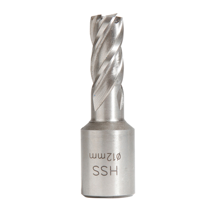 FRAISE HSS H25MM WELDON 19 MM D.13 SIDAMO - 20598201