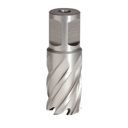 FRAISE HSS H25MM WELDON 19 MM D.22 SIDAMO - 20598210