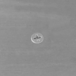 6 vis autop. acier zingué blanc - tête fraisée 120° - empreinte PH - Ø3,5x13mm - SCELL-IT - TFC35013-B100