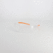 Lunettes de protection PC incolore anti-rayures et anti-buée - SINGER - EVALIGHT