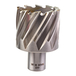 TREPAN HSS 44x30MM (x1) MILWAUKEE ACCESSOIRES - 4932371753