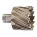 TREPAN HSS 50x30MM (x1) MILWAUKEE ACCESSOIRES - 4932371759