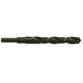 FORET HSS-R 15x169MM (x1) MILWAUKEE ACCESSOIRES - 4932373321