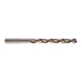 FORET HSS-G LONG 13x119MM (x5) MILWAUKEE ACCESSOIRES - 4932430344