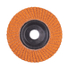 Disques a lamelles slc50/ diam 125 g60-1 pc MILWAUKEE - 4932472232