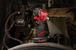 BOULONNEUSE COMPACTE 1/2˝ O’RING 542 Nm MILWAUKEE M12 FCIWF12G3-0 sans batterie - 4933493454