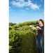 Taille-haies RYOBI 800W RHT8165RL - 5133003649