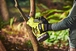 Élagueur à main RYOBI RY18LMH37LT25-250 18V ONE + HP Brushless - 5133005434