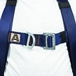 Harnais Essential XXL - XXXL - TUBESCA COMABI - 09100104