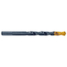 Foret métaux taillé meulé HSS -Revêtu en bout TiN -DIN338 -h8 -Pointe en croix -Queue à 3 méplats Ø: 6 L: 93 TIVOLY - 11453120600