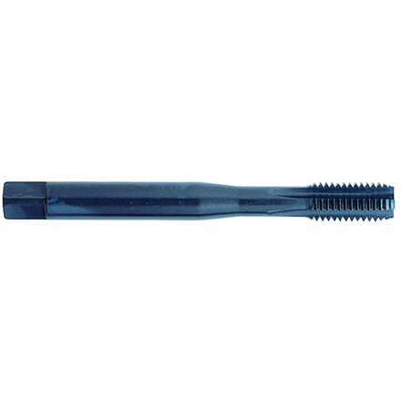 Taraud machine Standard HSS-E5 -Traitement STEAM -M MF -DIN371 -Droit -6H -Queue renforcée / Ø: 10 X 1.25 TIVOLY - 960241101000125