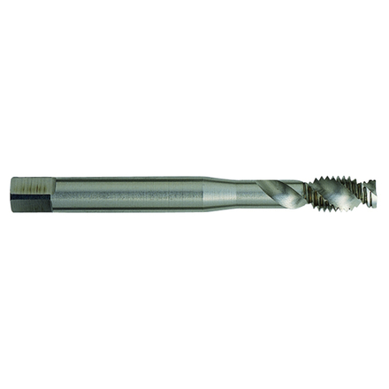 Taraud machine Standard HSSE-PM -M -DIN 371 -Forme C -6H -Queue renforcée / Ø: 8 X 1.25 TIVOLY - 960506100800125