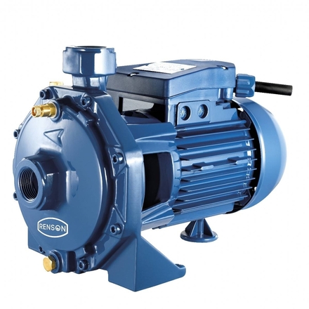 POMPE 230V FONTE 1,1KW BICELLULAIRE - CB160 - RENSON - 101645