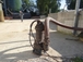 POMPE DE RELEVAGE TRI FONTE ROUE VORTEX 2,2KW DN65 RENSON - 109450