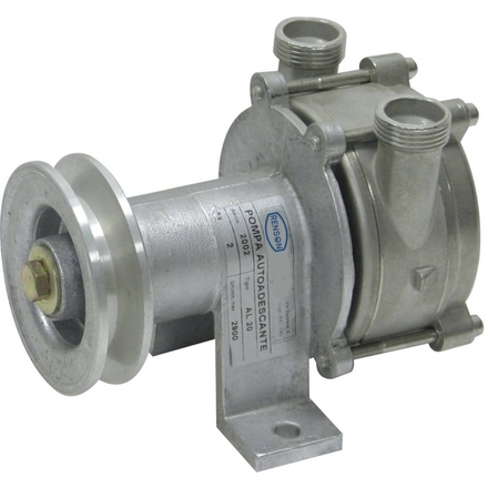 POMPE LIQUIDE ALIMENTAIRE A POULIE INOX D20 - RENSON - 110825