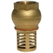 CLAPET DE PIED + CREPINE LAITON FEMELLE 1''1/4 - RENSON - 362191