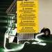 RIBBON 15M Bandeau LED puissant 19000 Lm IP65 avec enrouleur - VELAMP - ST915